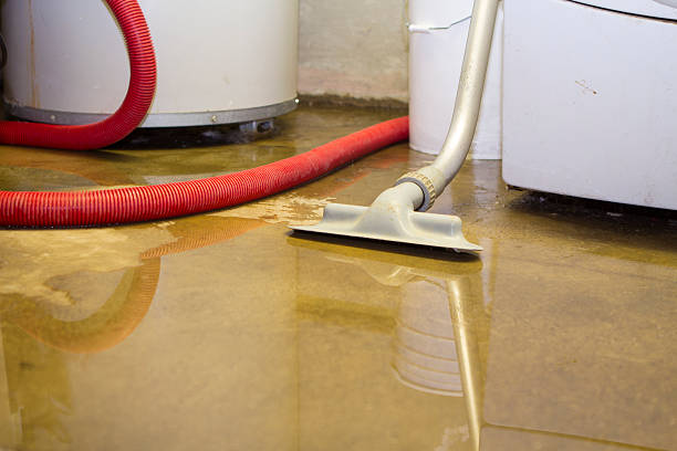 Best 24/7 water damage repair  in Hastings, NE